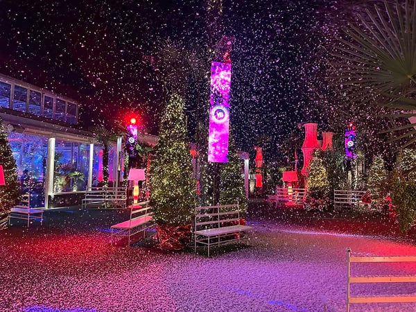 Effetti Speciali - Neve